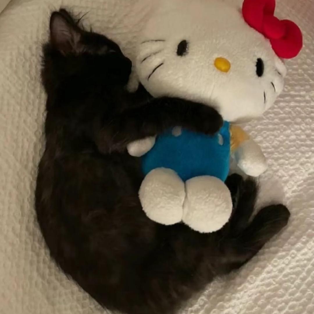 ￴￴ ￴￴￴￴ ￴￴ ￴