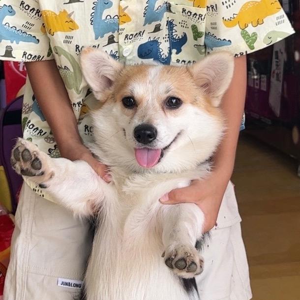 爱笑的眼睛