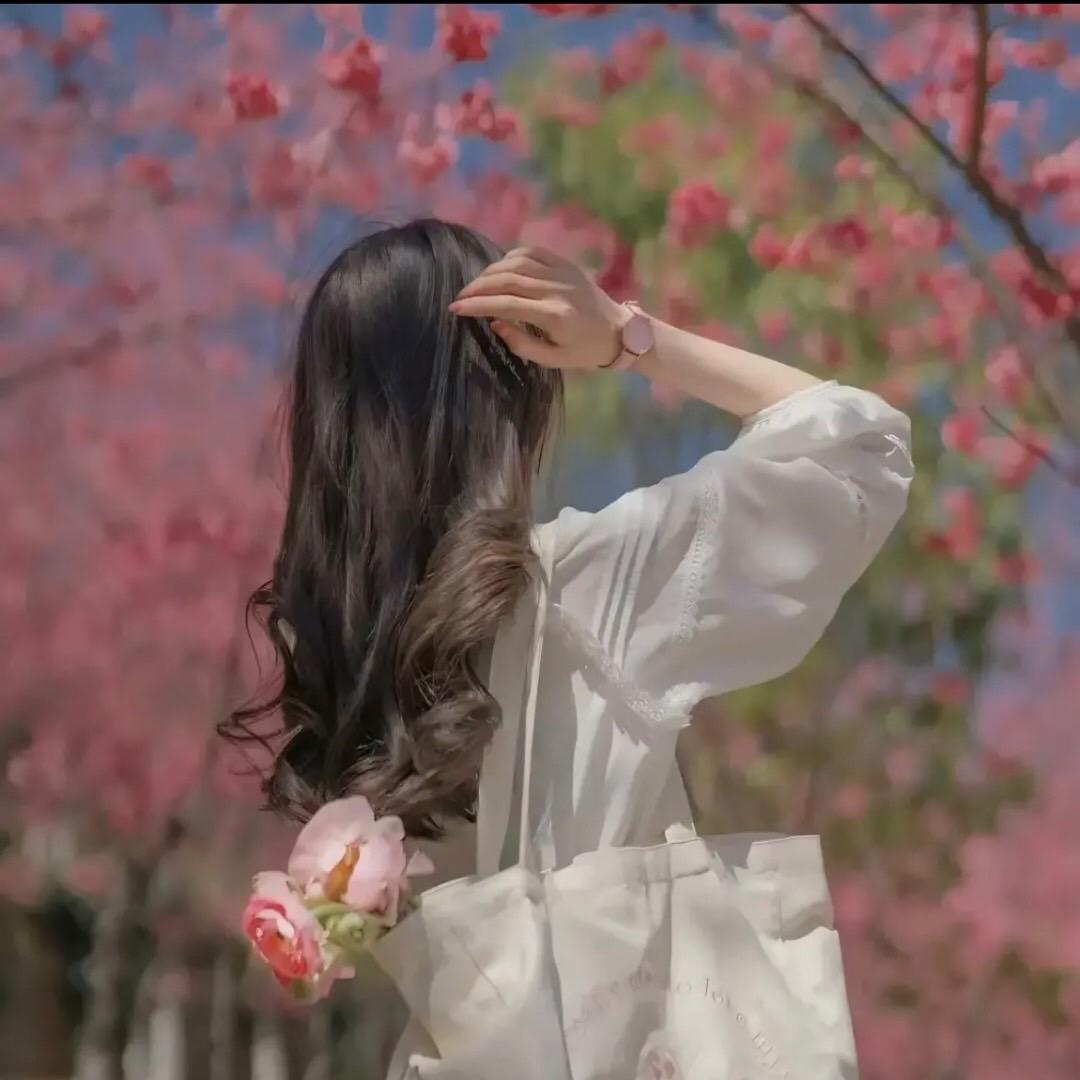 南山种业