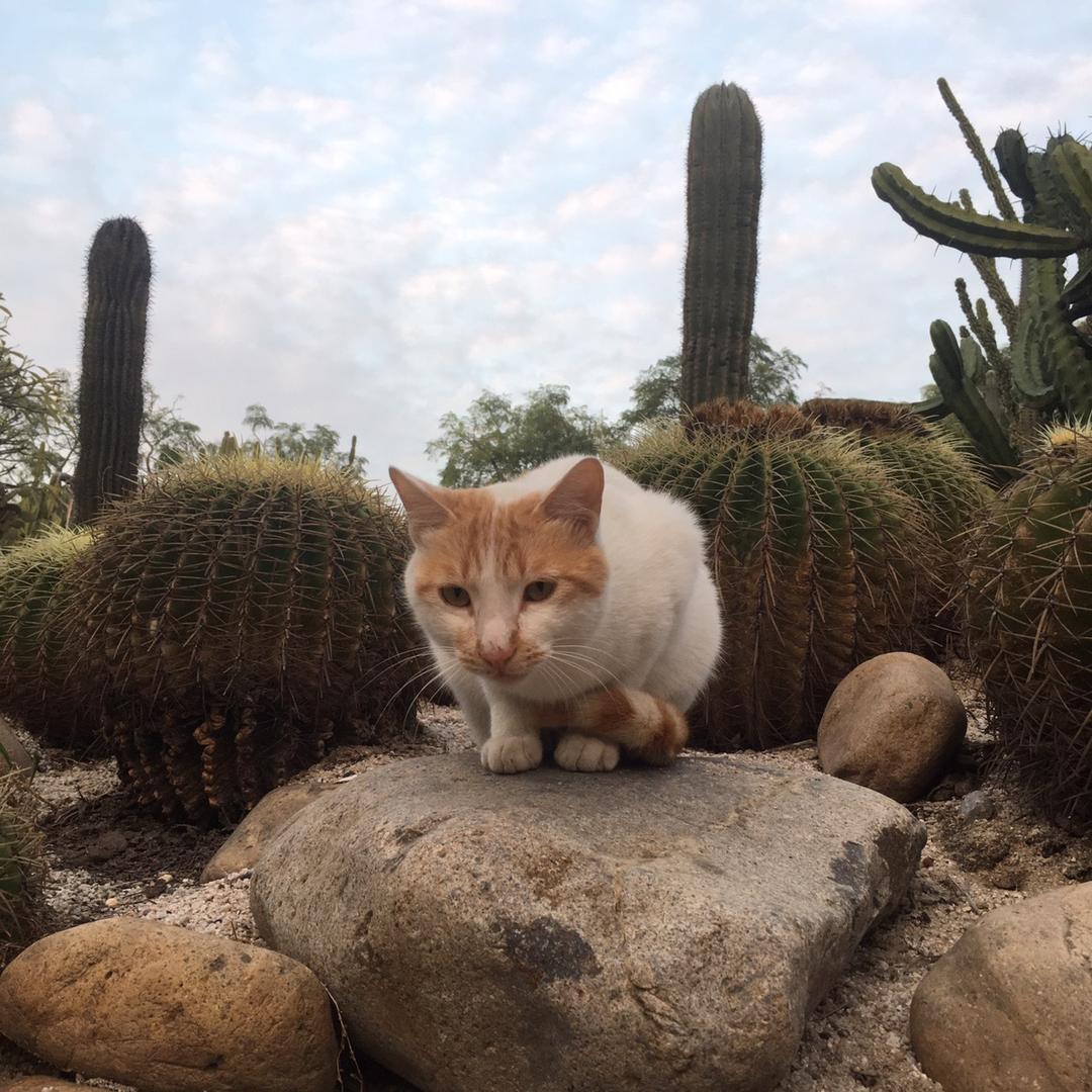 與愛同行(心宸图文广告24h营业)