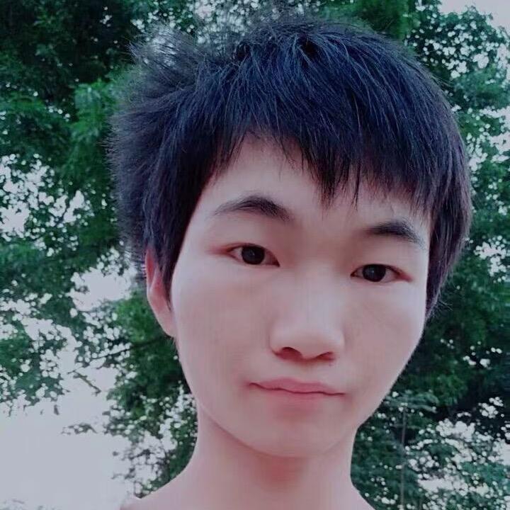 凤翔五黑跑山鸡