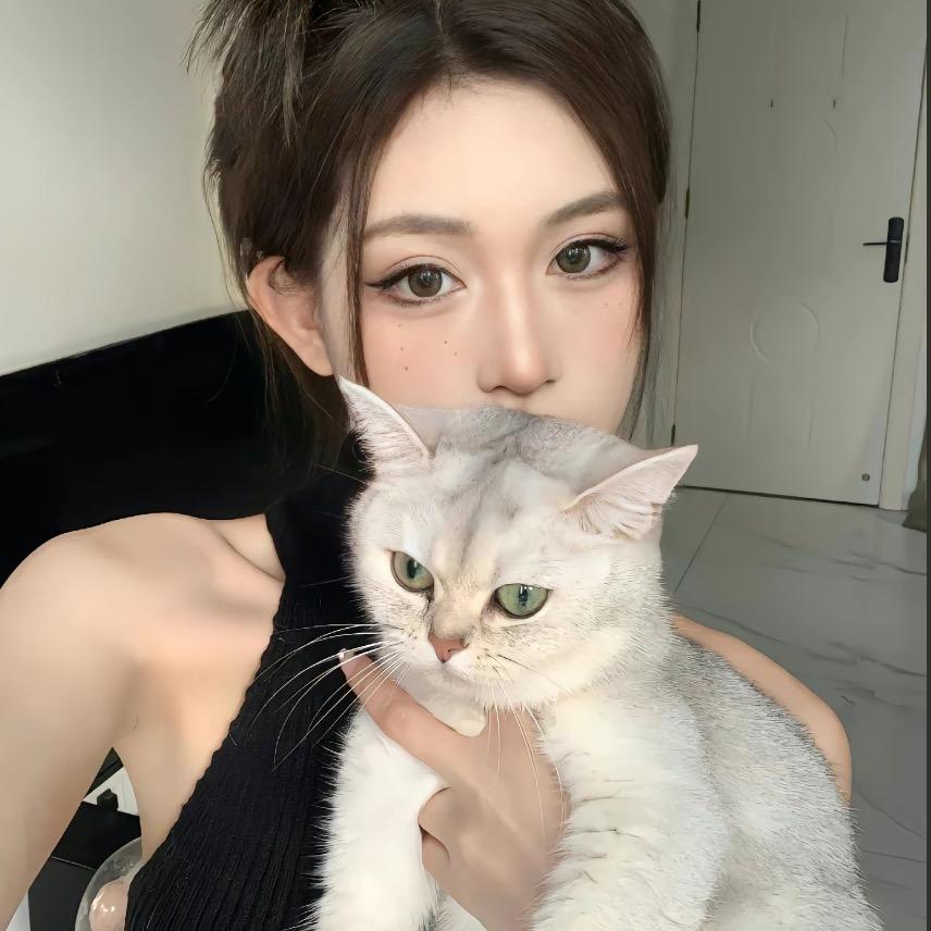 猫与白砂糖