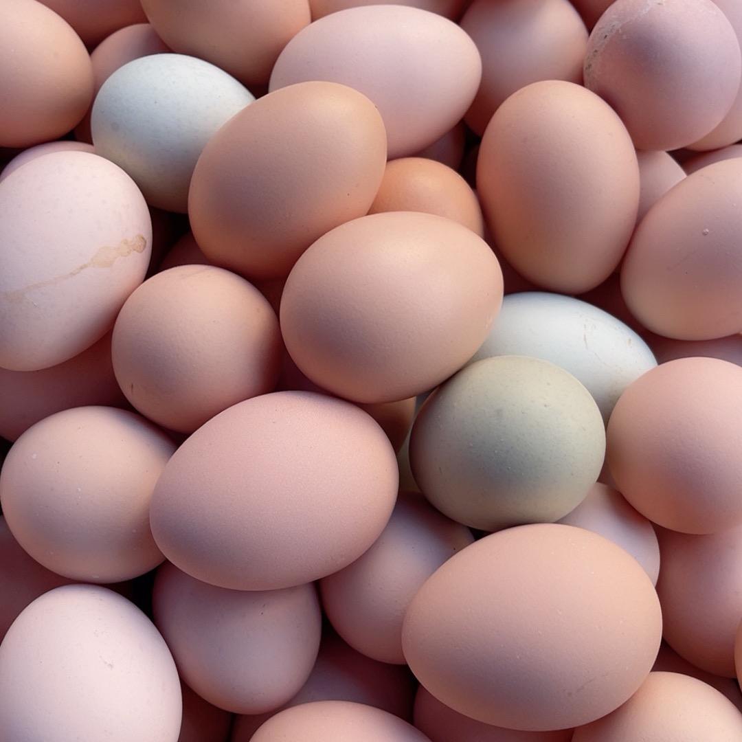 安徽远远卖鸡蛋🥚