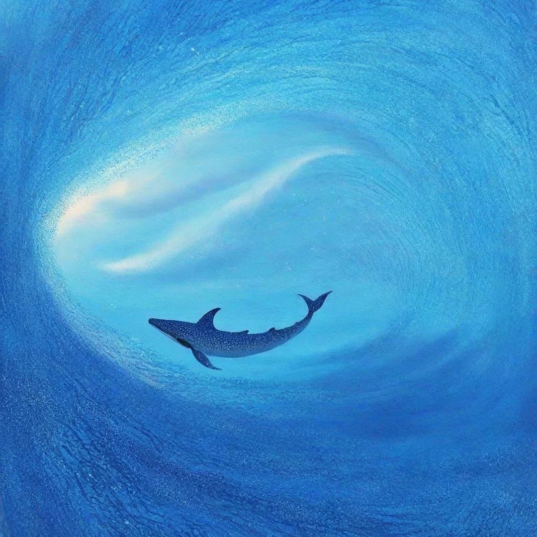 ❤️新小新❤️