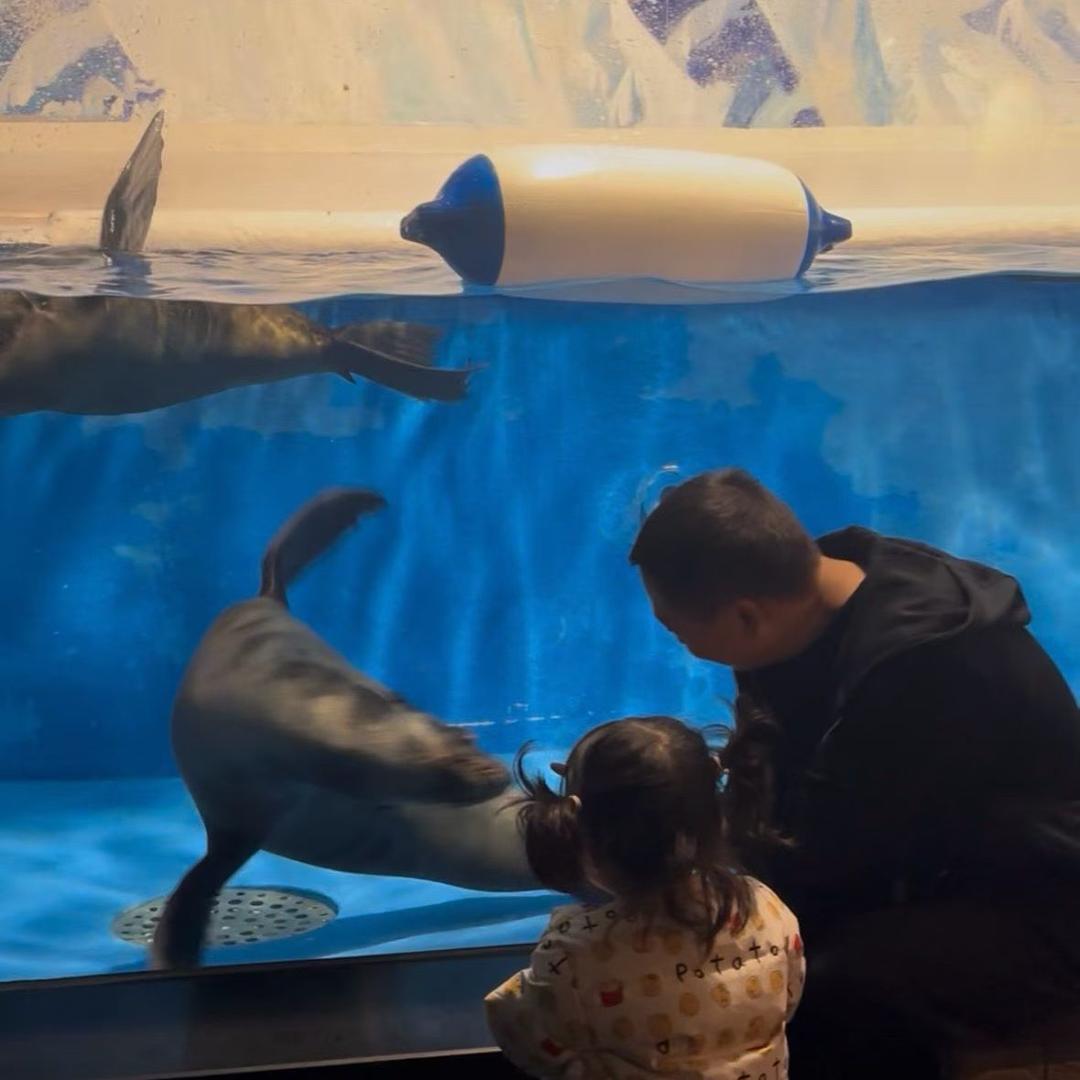 小陈娃实地看房