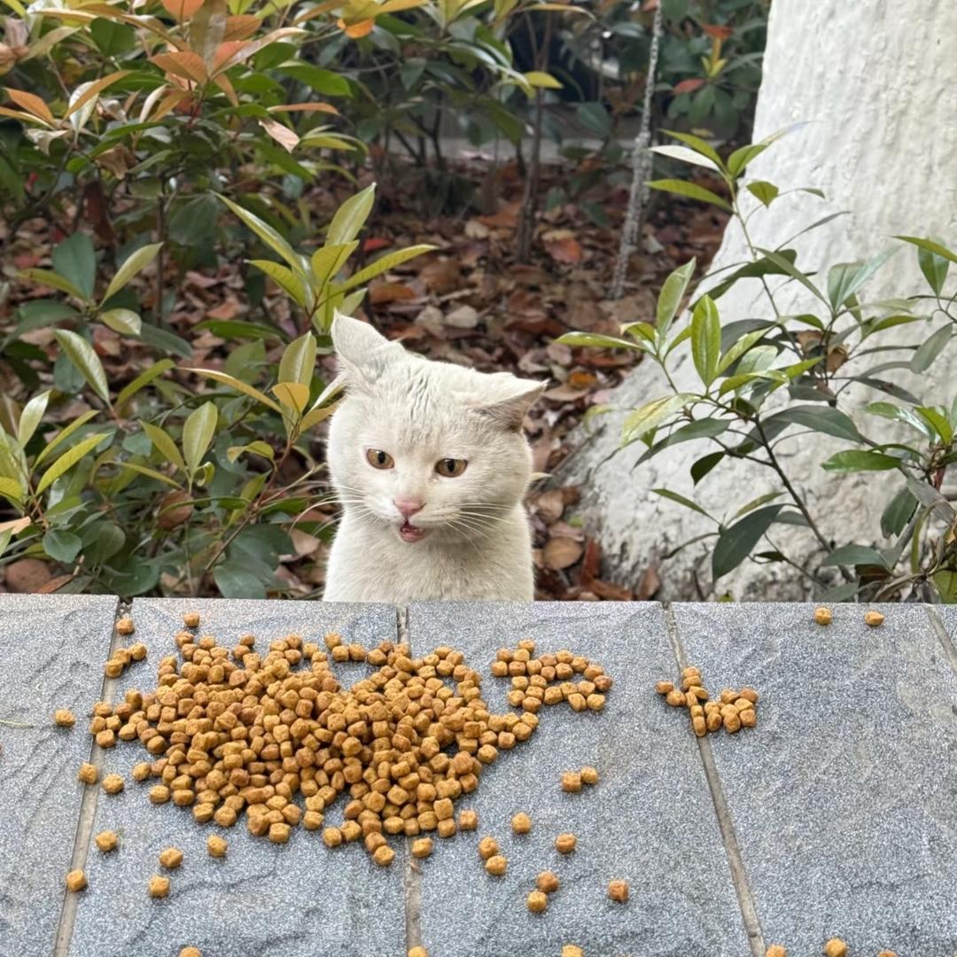 威士忌ww