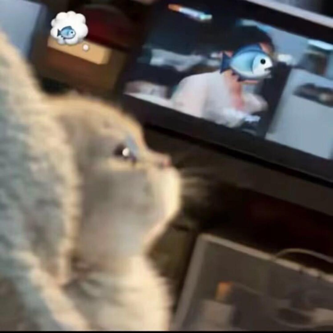 ³