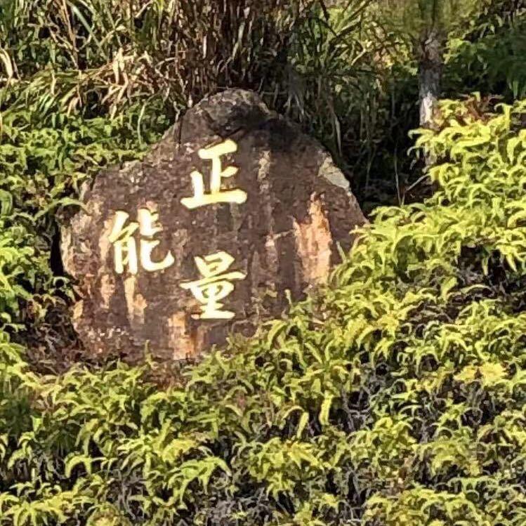 正能量织极向上