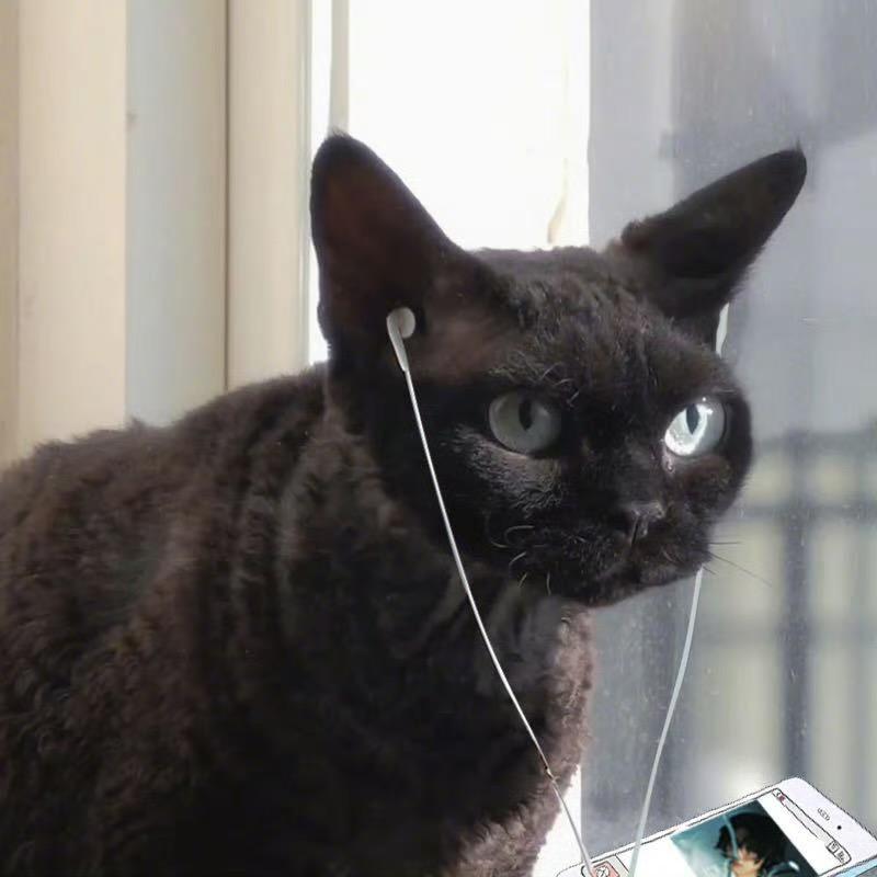 名字太长会有傻子跟着念