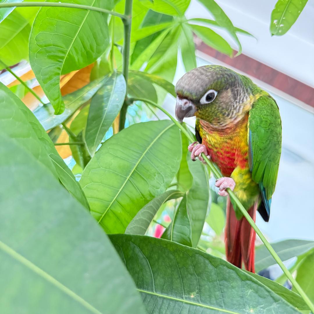 贩卖🦜🉐小姐姐