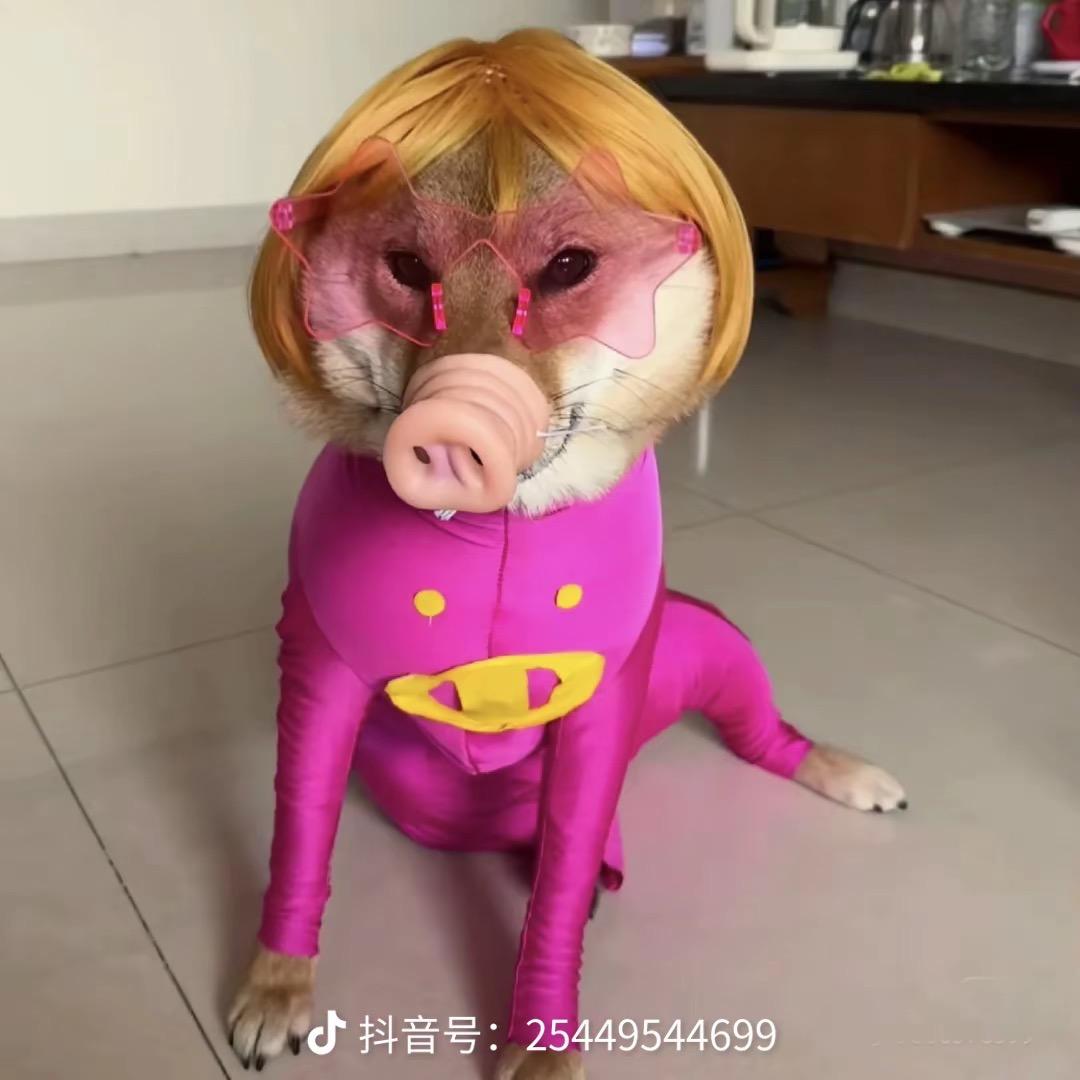 我妹妹是复读机