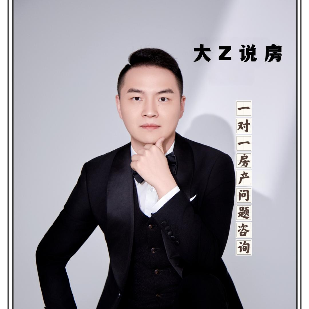 大Z说房