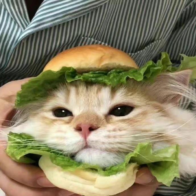 卷卷