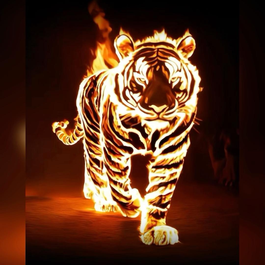 ❦ιɪмо⁶¹⁹❦