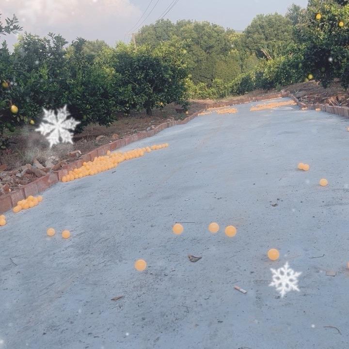 户外溜个球⚽️