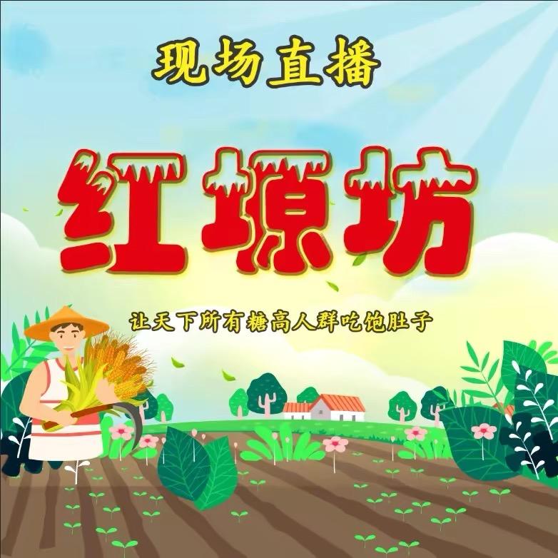 红塬坊