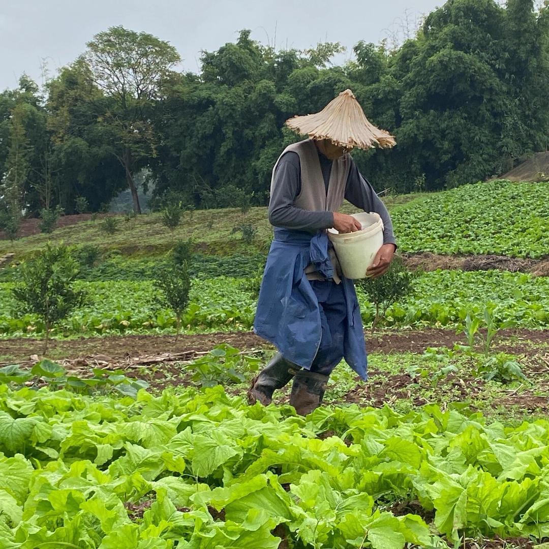 田园生活