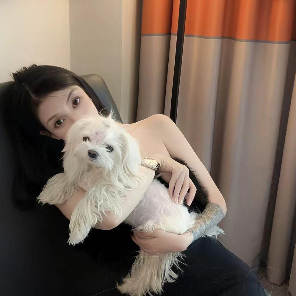 小茹子（植物大战僵尸）