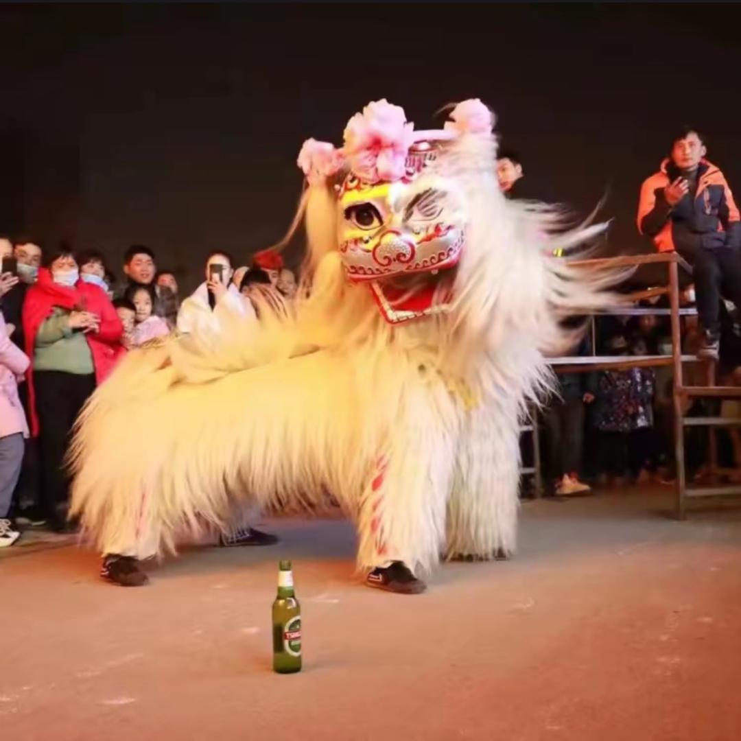 （河南精彩小白狮）总团小侨