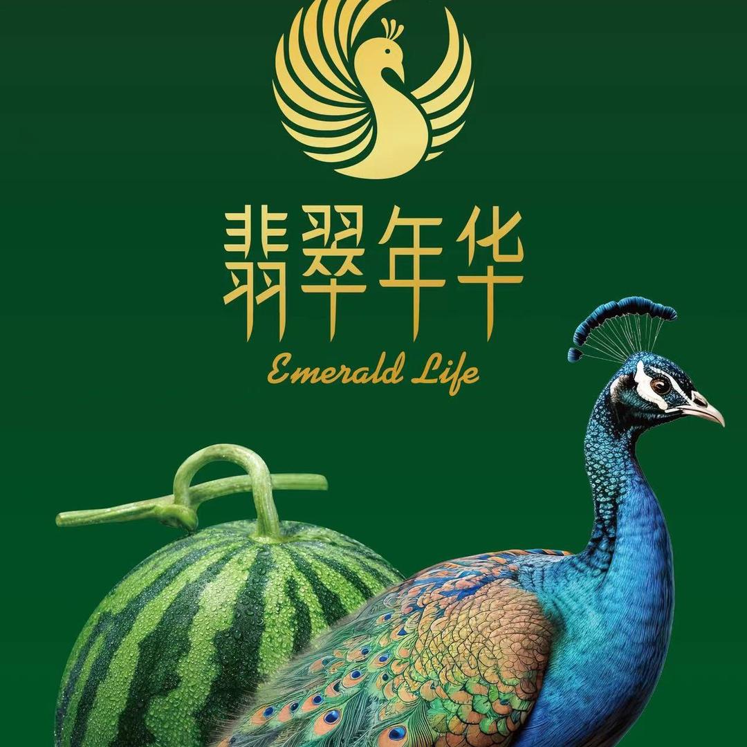 翡翠年华 小周 金华站