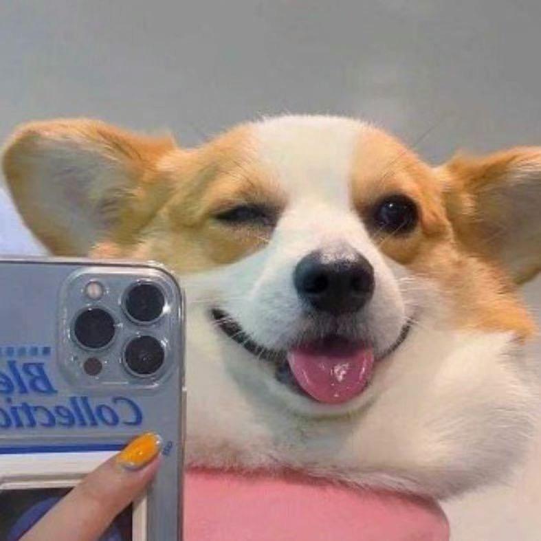 LY