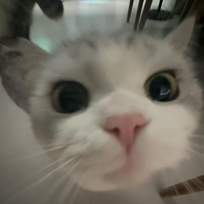 77_77kimi