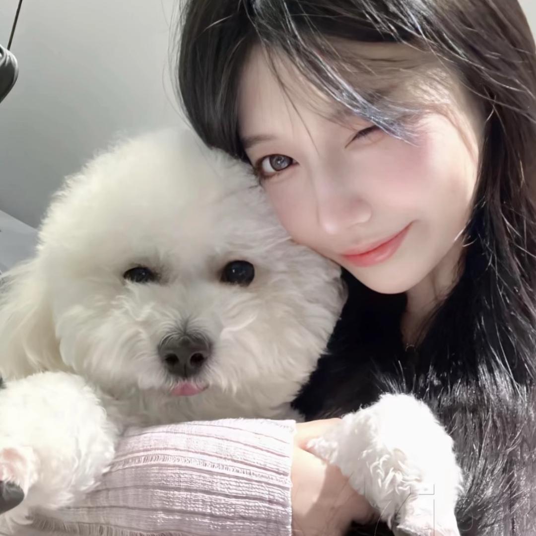 今晚月色真美.