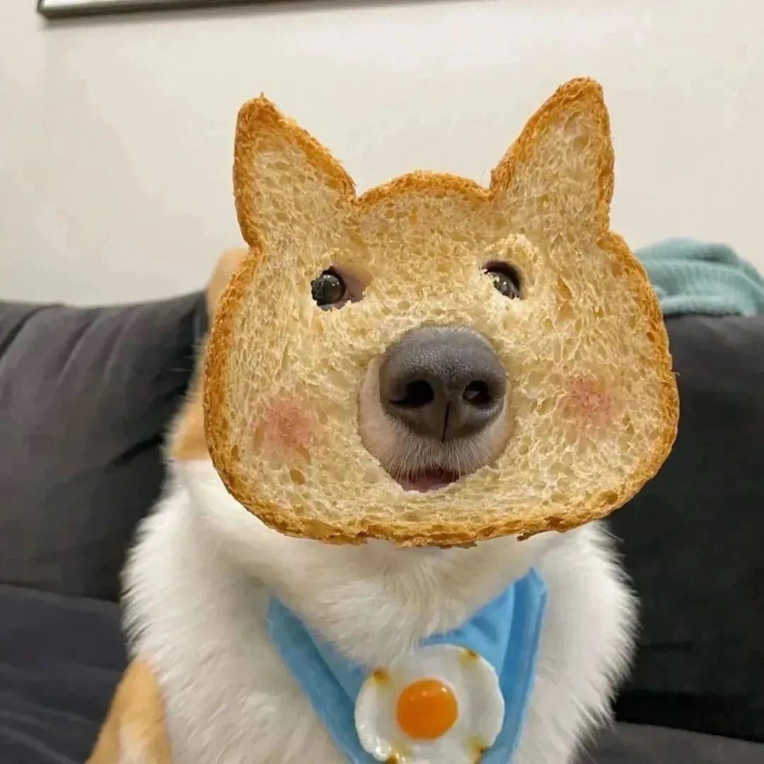 啊哦鹅依乌鱼