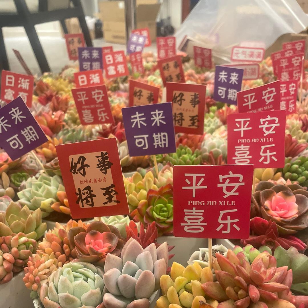 丹麦