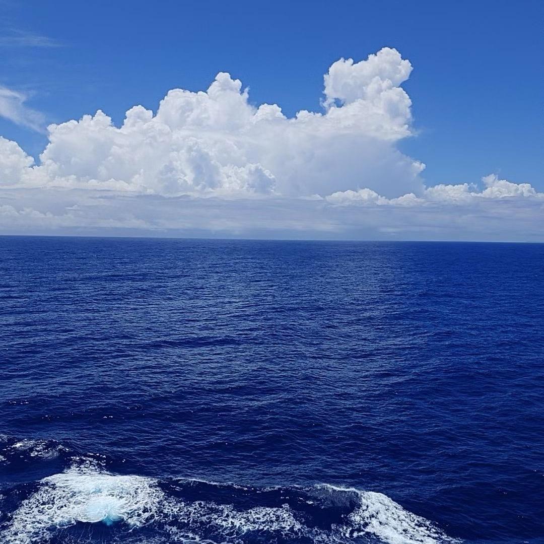 航海朱哥