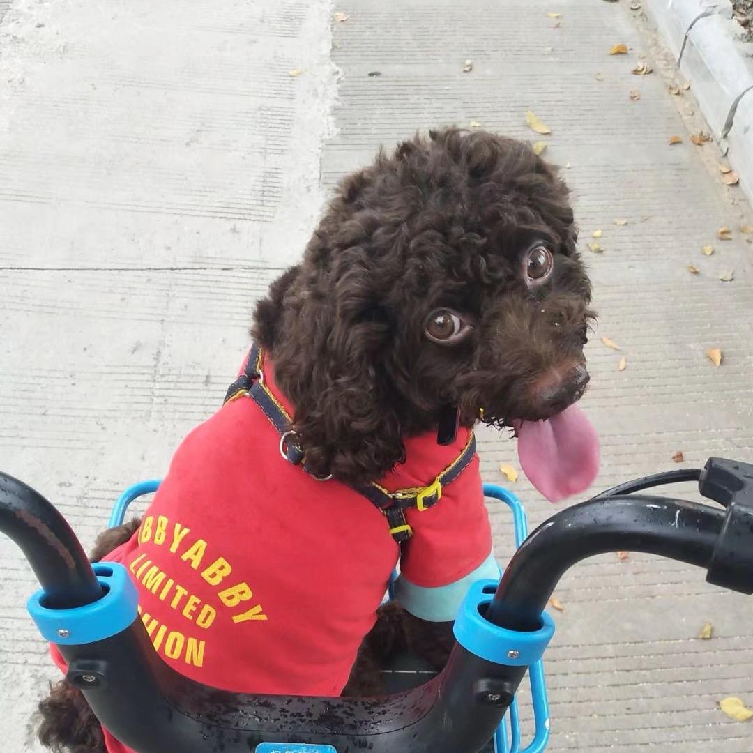 '予白📷（在阳朔）