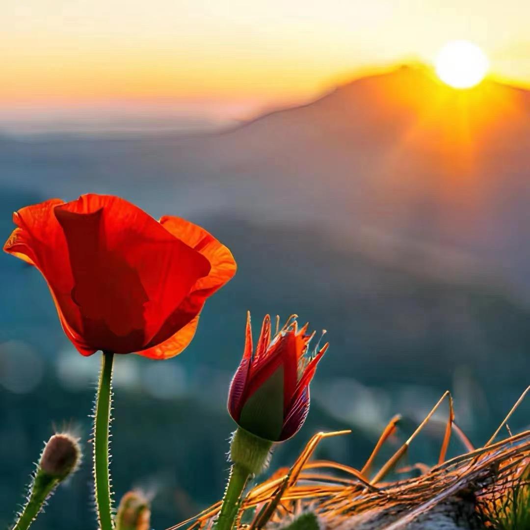 山高万仞只登一步