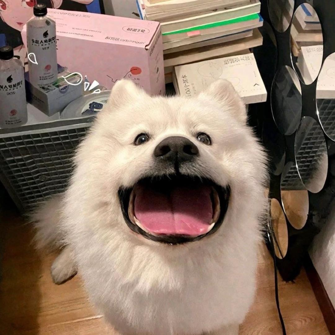 馮宇建