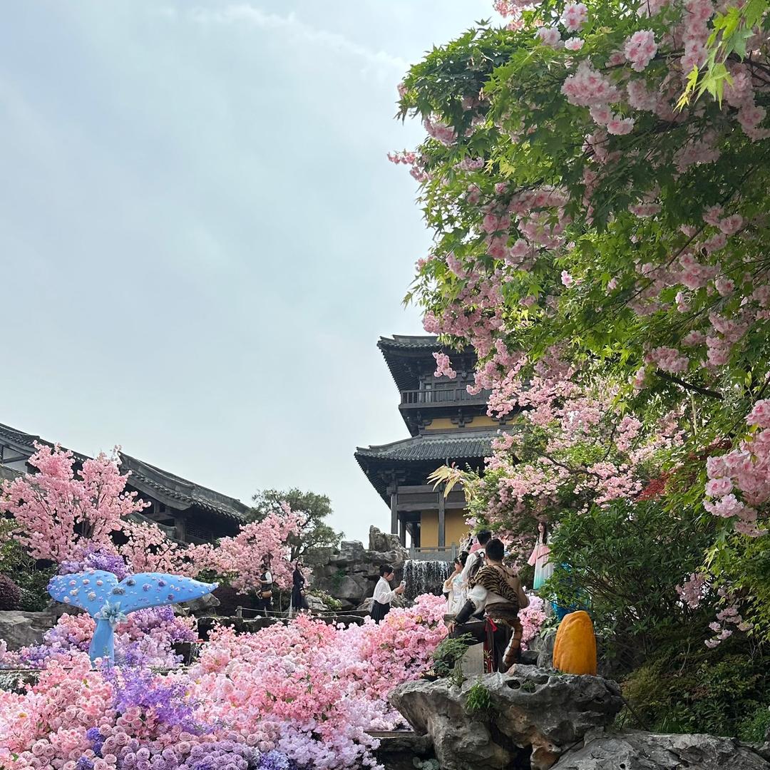 小白去哪玩