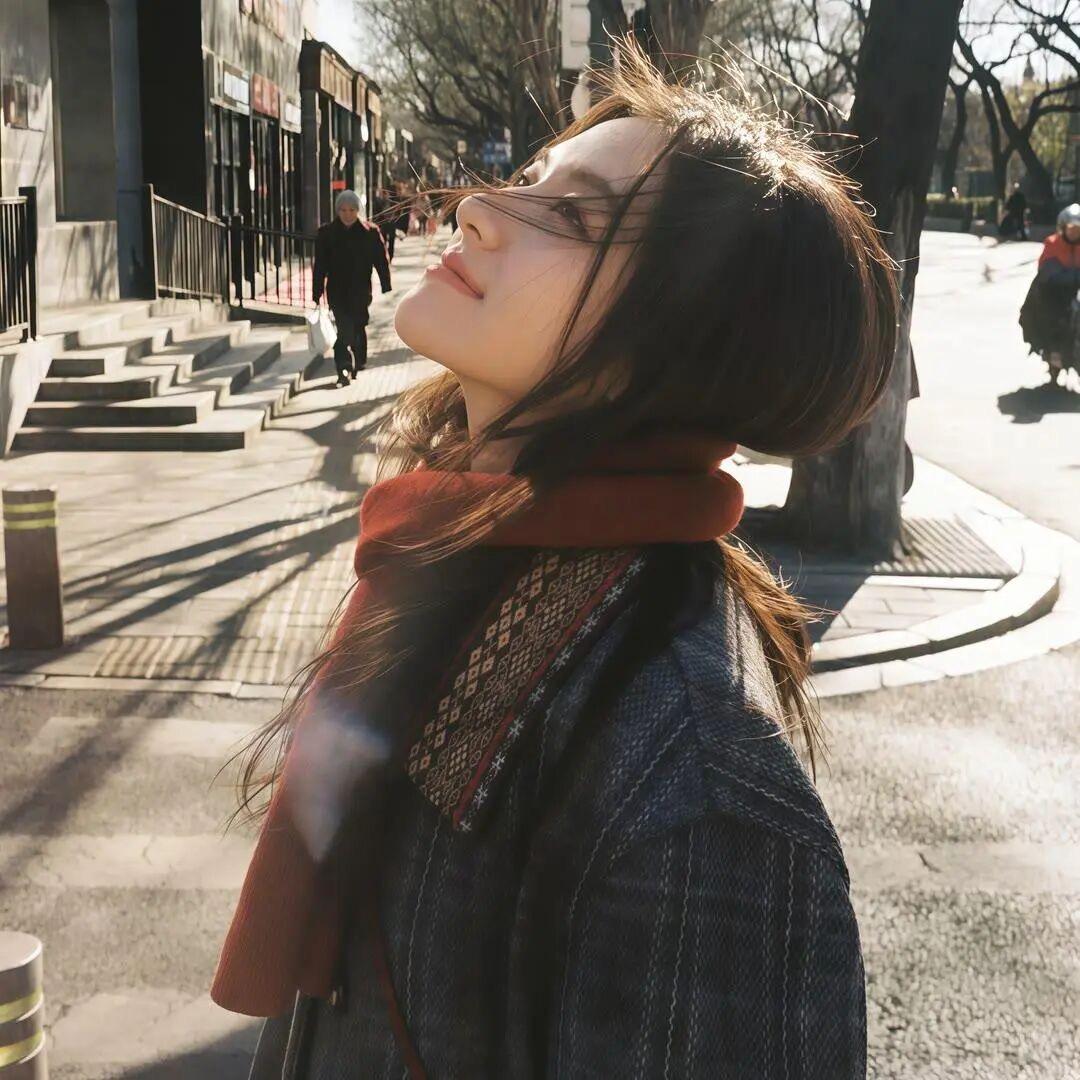 花瓣随风落.