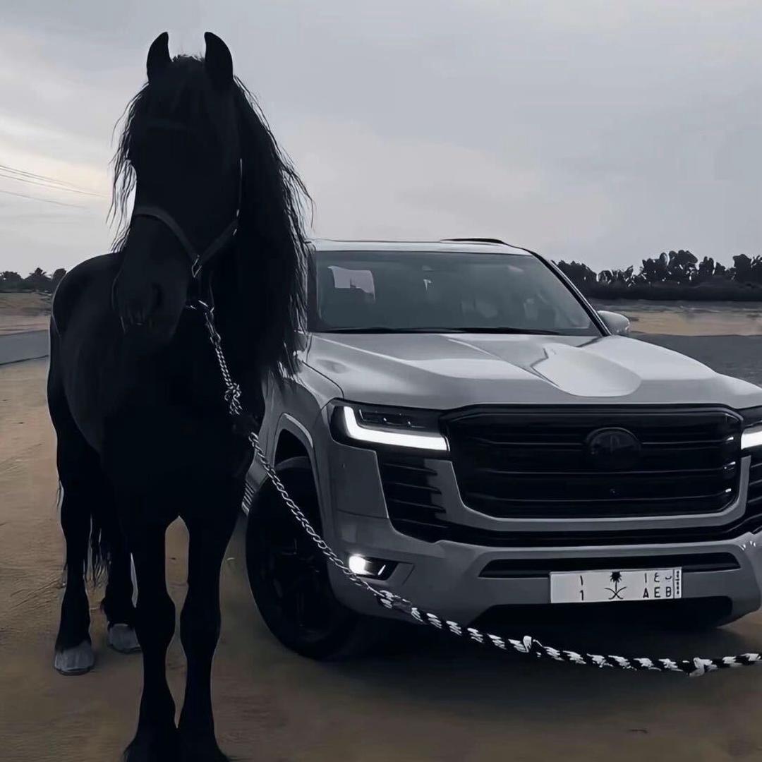 我的女朋友很可爱