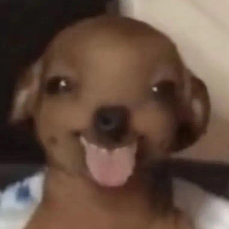 ZYJTY