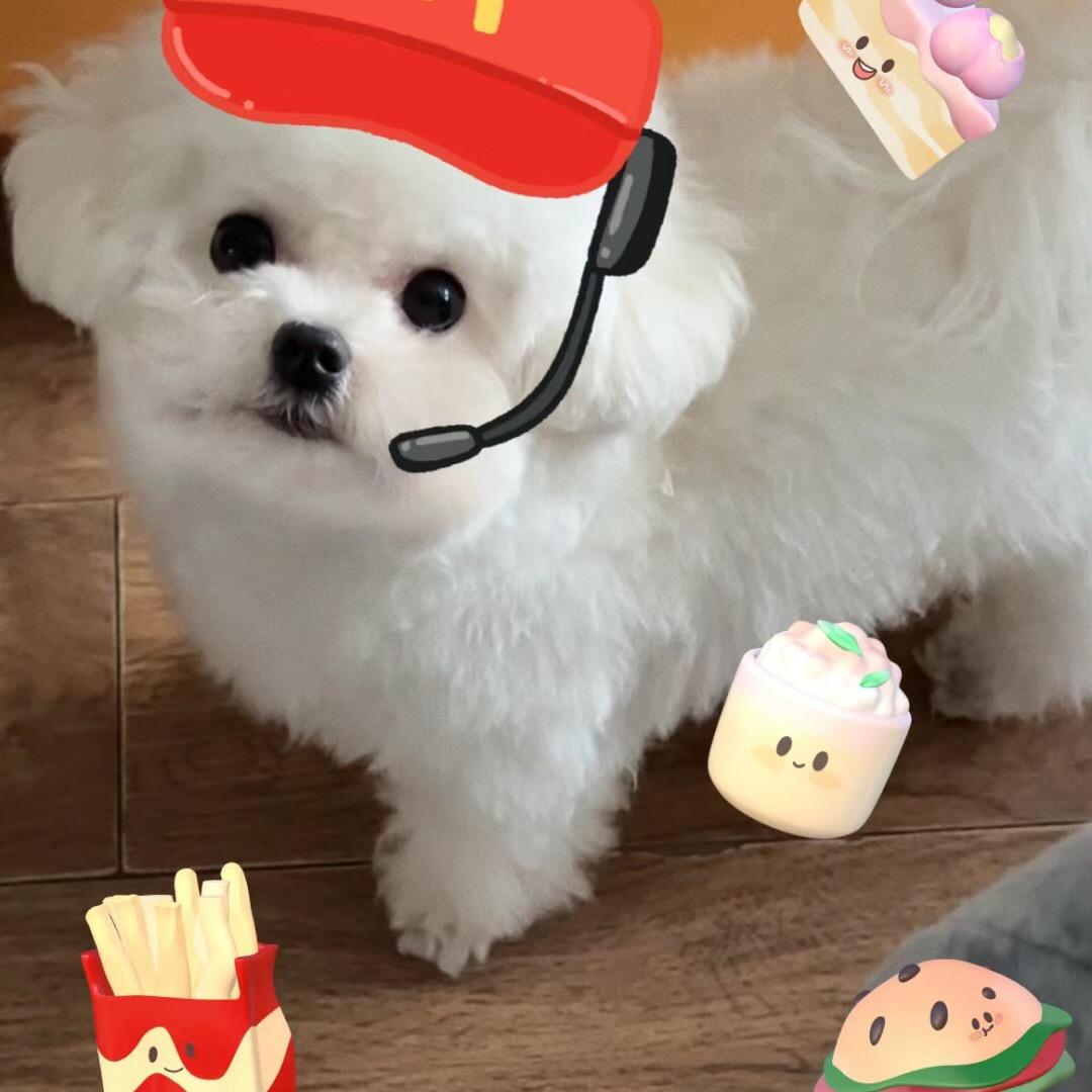 宝子日记