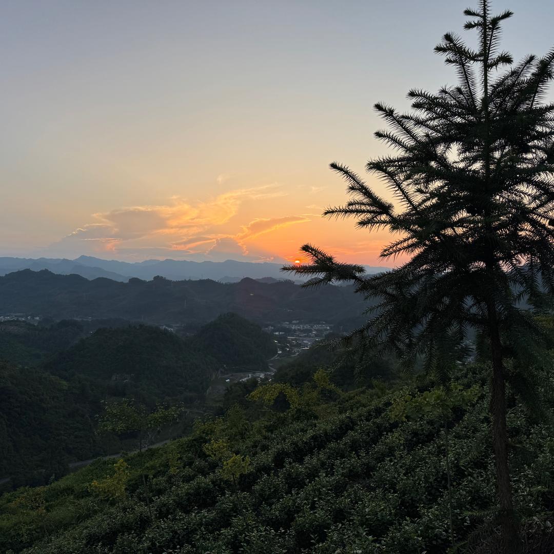 柠萌 🍋🌸(拒绝私聊)