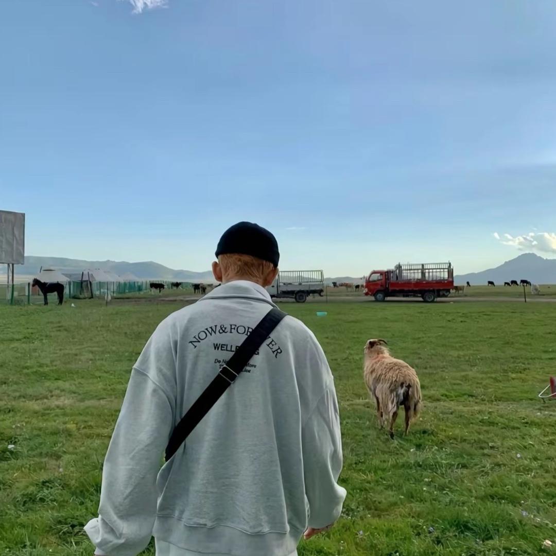 ㅤㅤ ㅤㅤ ㅤㅤ