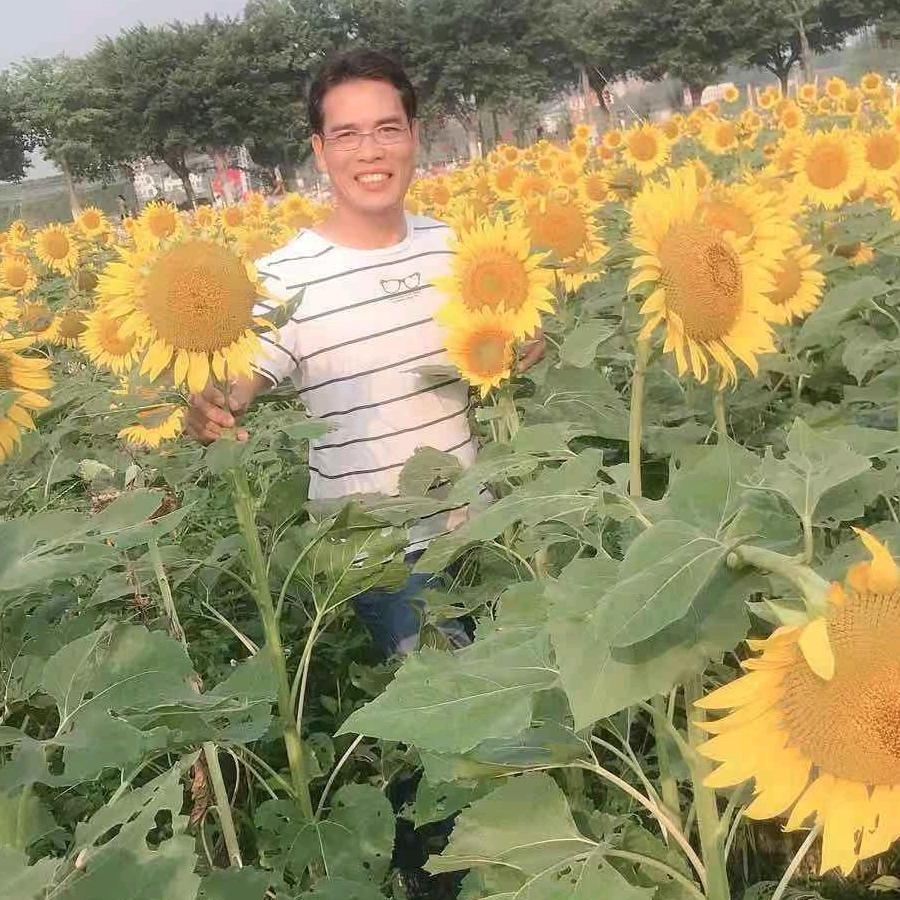 广东明哥