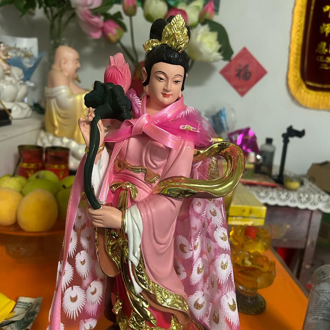 金枝玉叶五