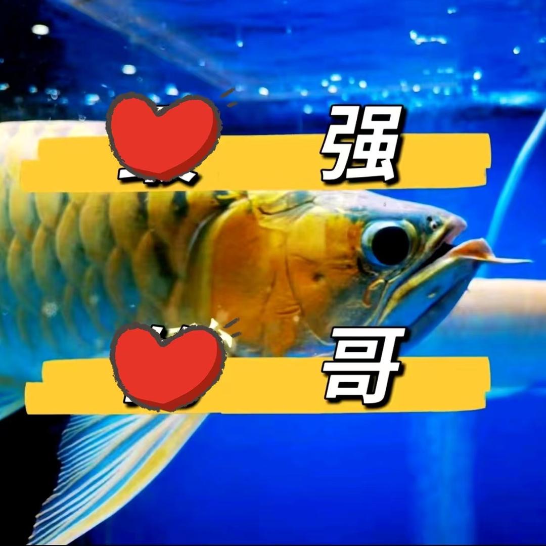 雷泽水庭