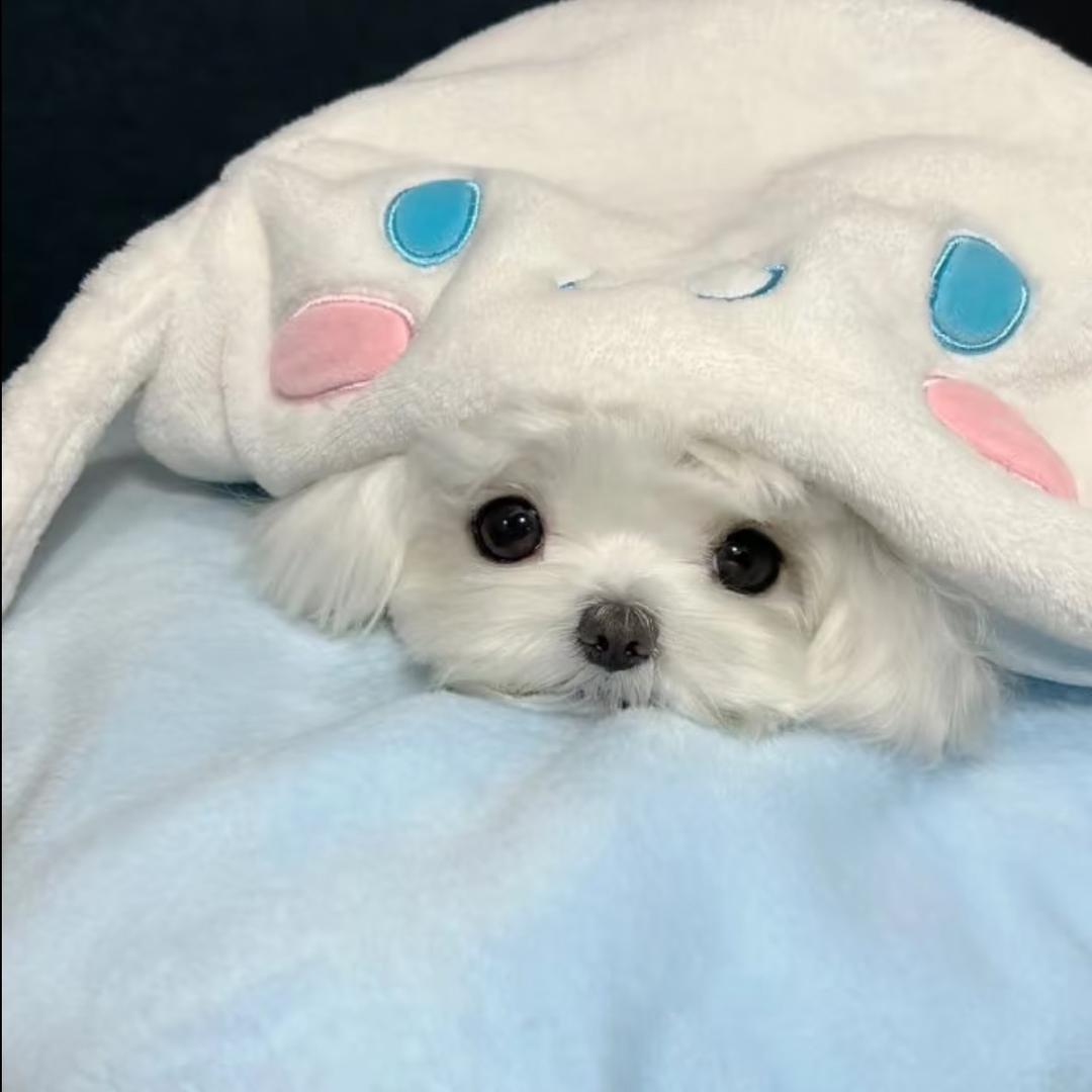 银7
