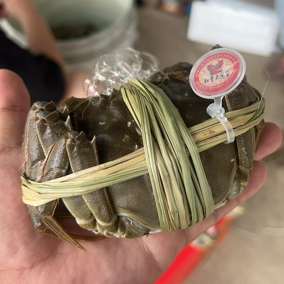 江苏精品大闸蟹