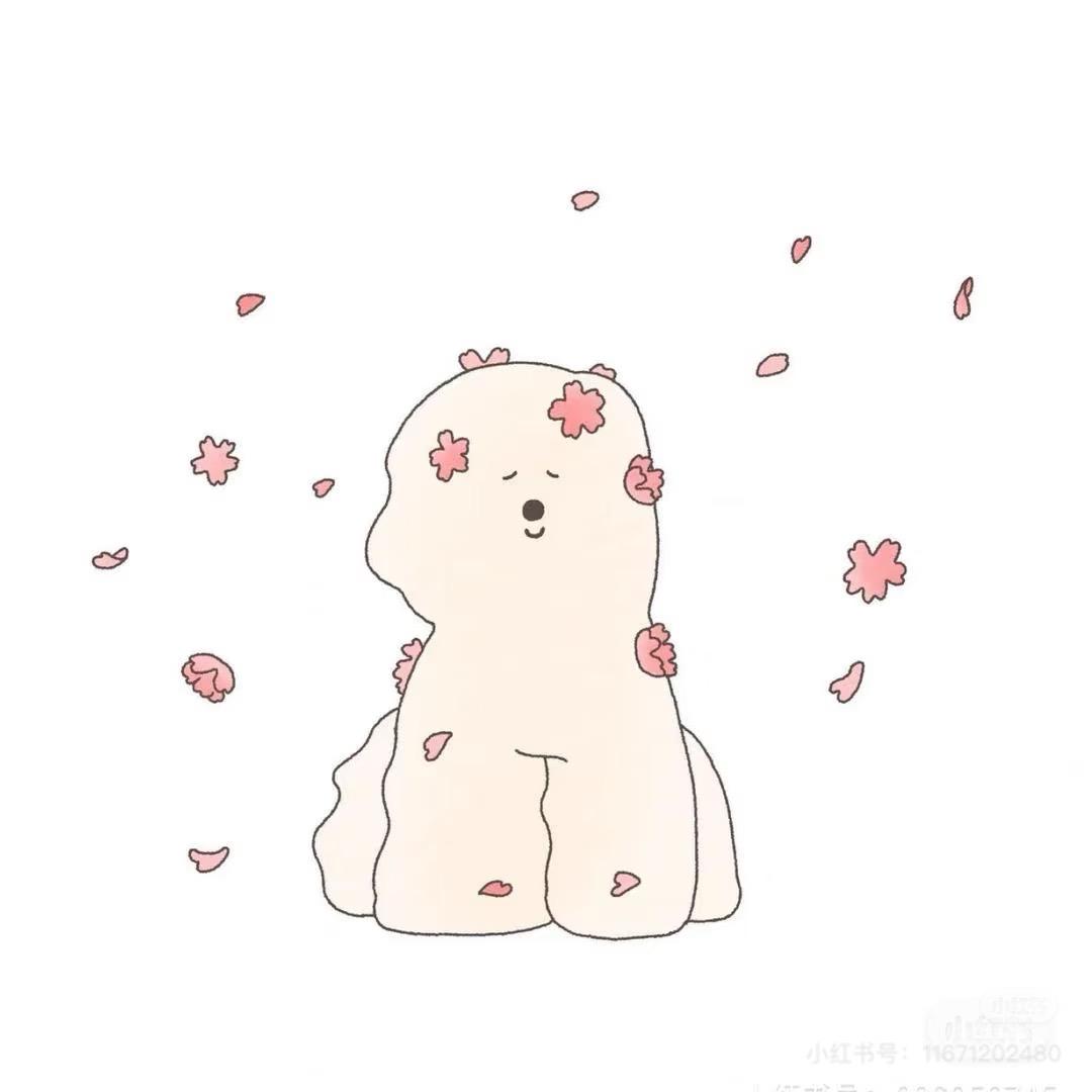 小星空