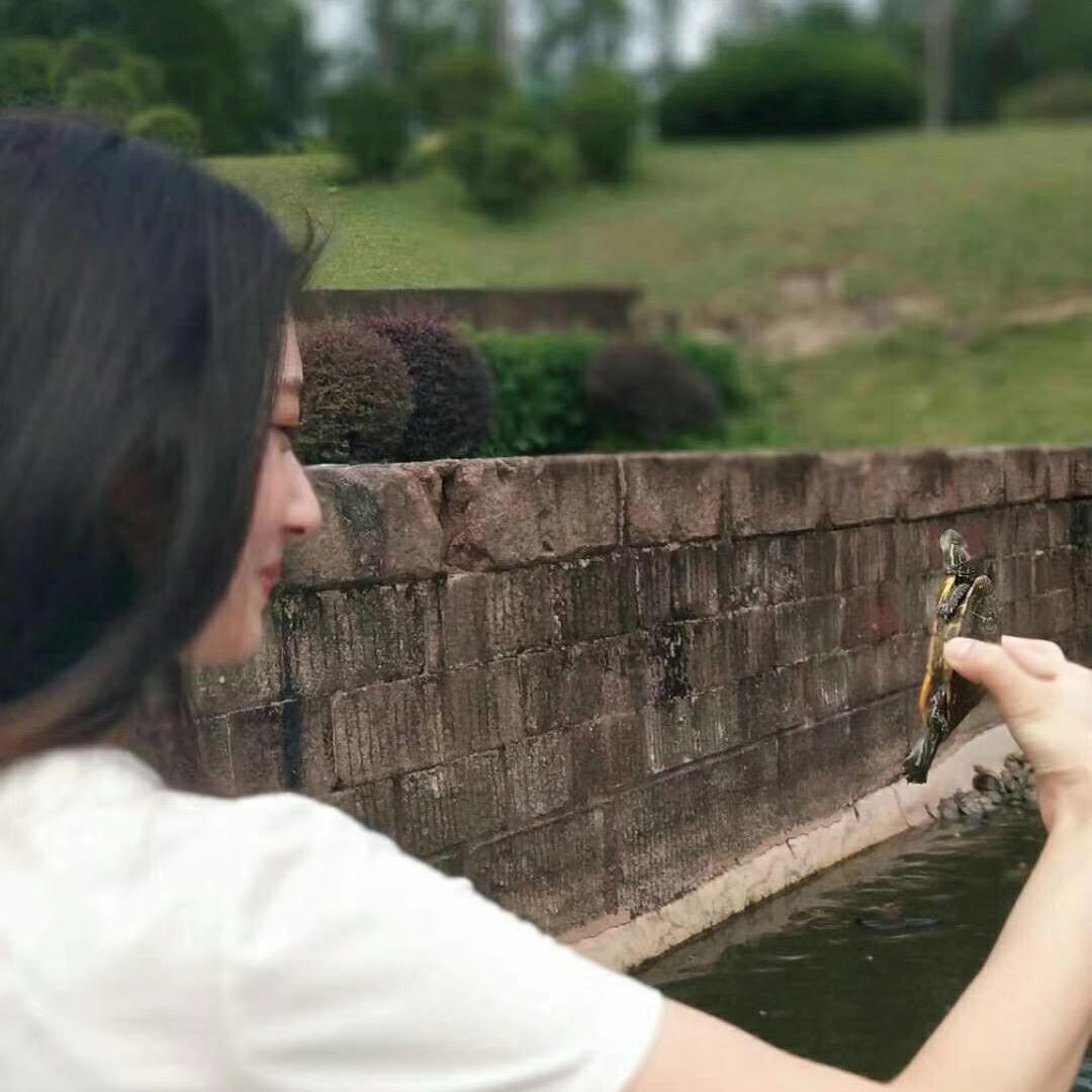 晓晓