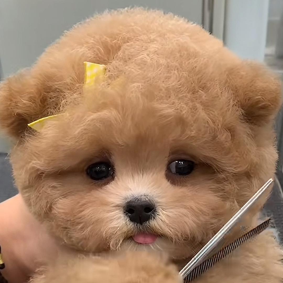 柒柒直播穿搭号