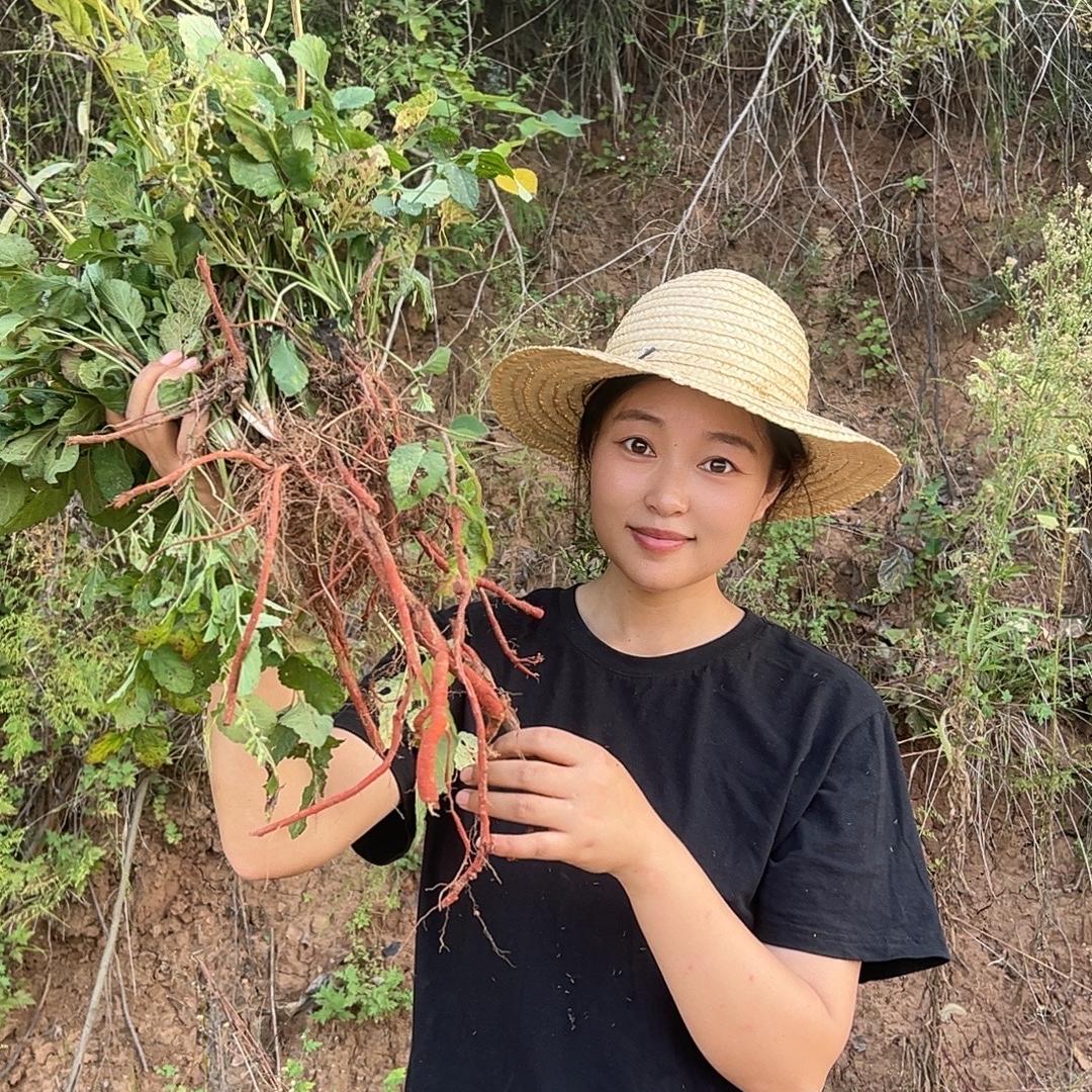 秦岭本草