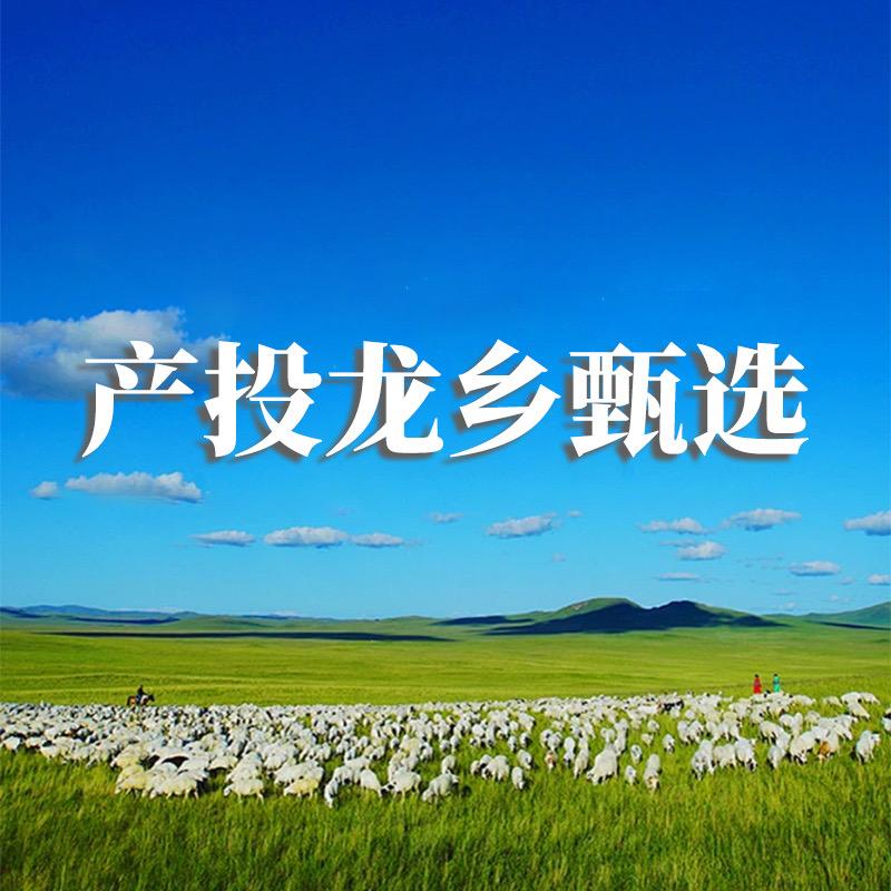 产投龙乡甄选